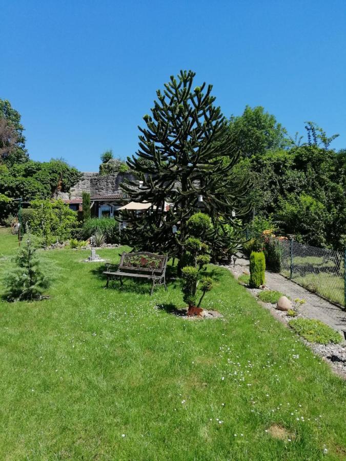 Glori 'S Fewo Bad Sooden-Allendorf Extérieur photo